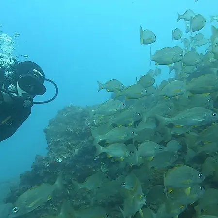 דירה Al Magec Vacacional *