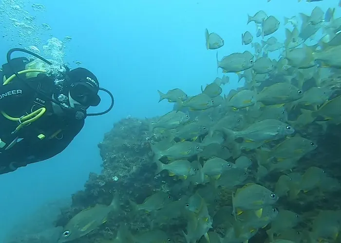 Lägenhet Al Magec Vacacional *